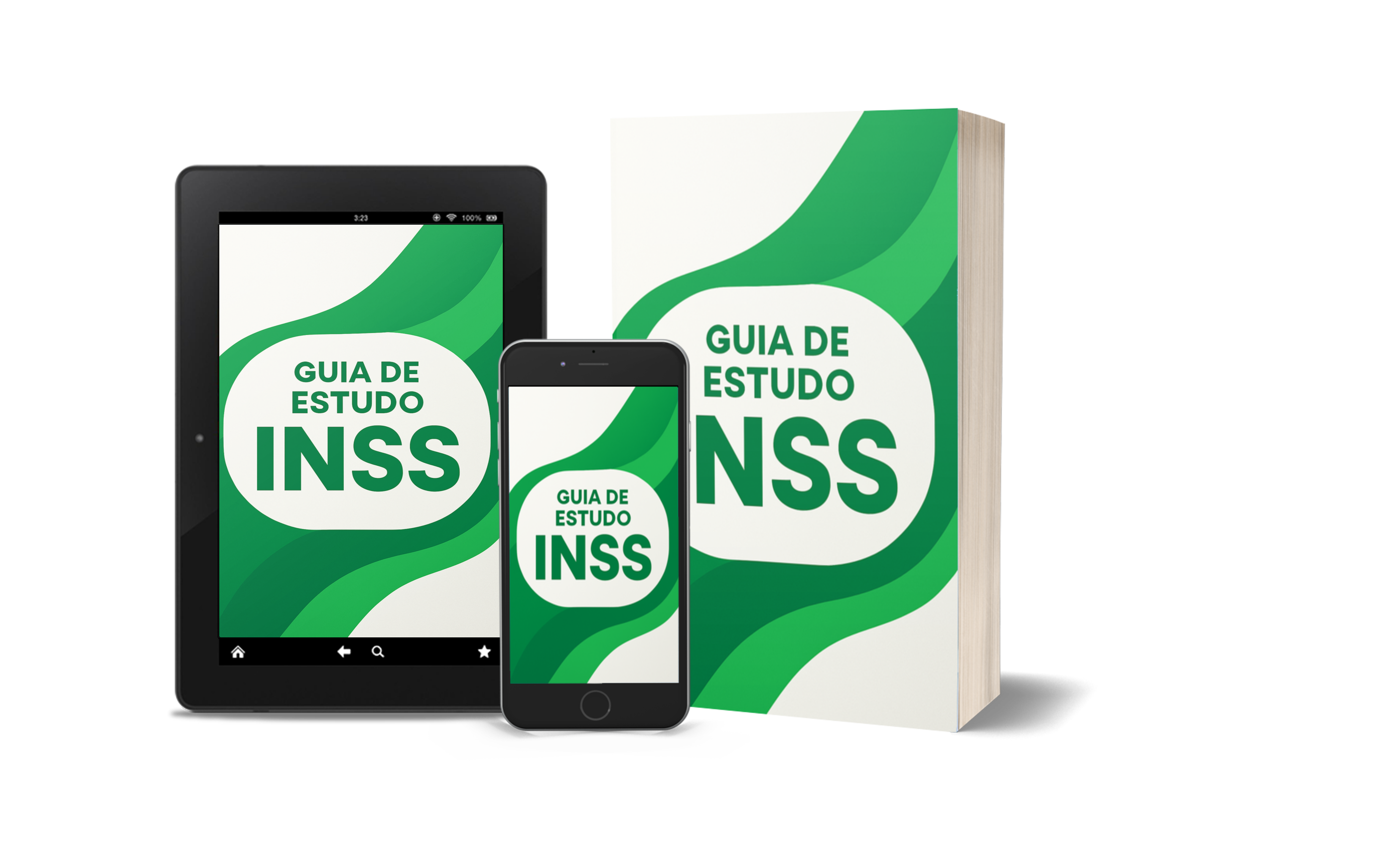 Bônus 2: Guia de Estudos